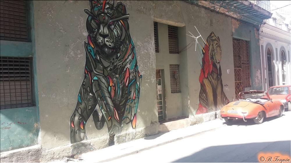Graffiti dans les rues de la vielle ville.